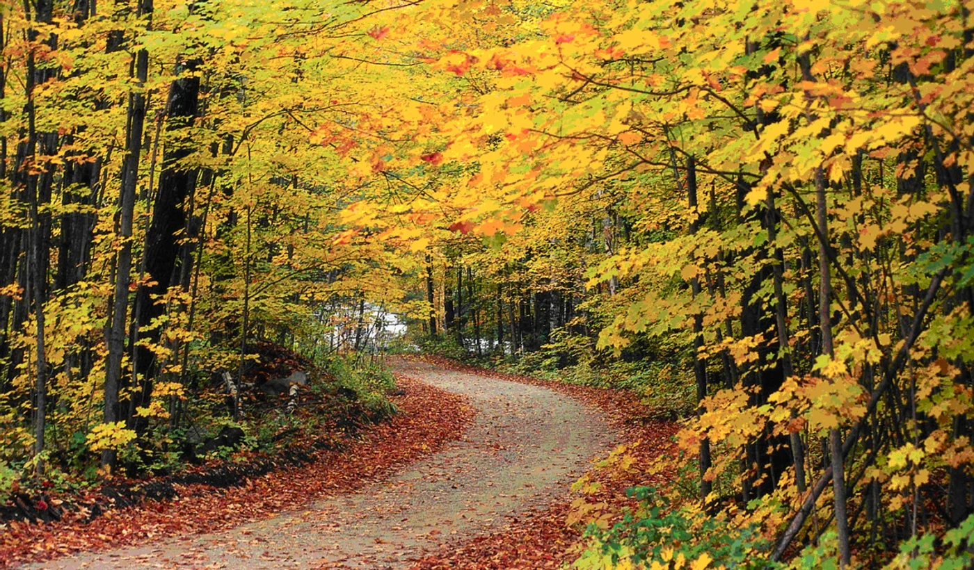 Tax on Selling Land in Vermont