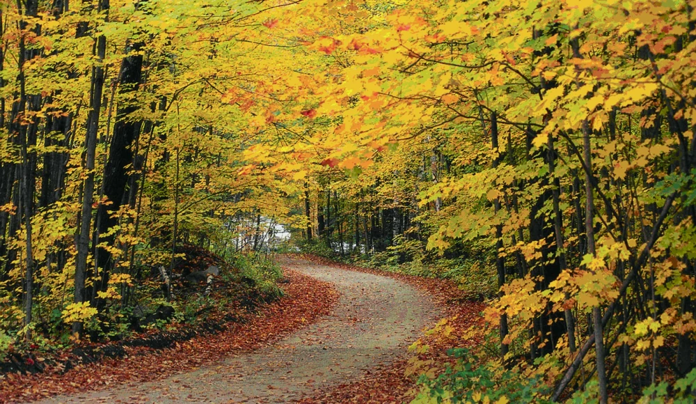 How to Sell Inherited Land in Vermont land guide