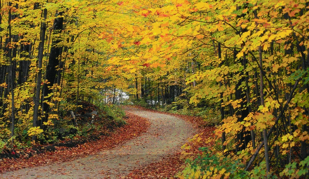 How to Sell Land Fast in Vermont land sale review