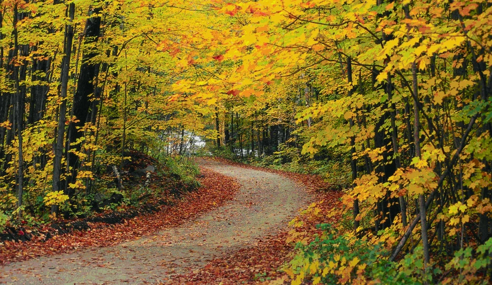 How to Sell Land Online in Vermont closing checklist