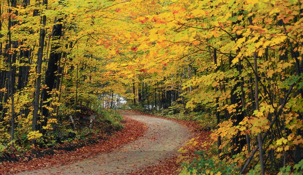 Legal Documents for Selling Land in Vermont land guide