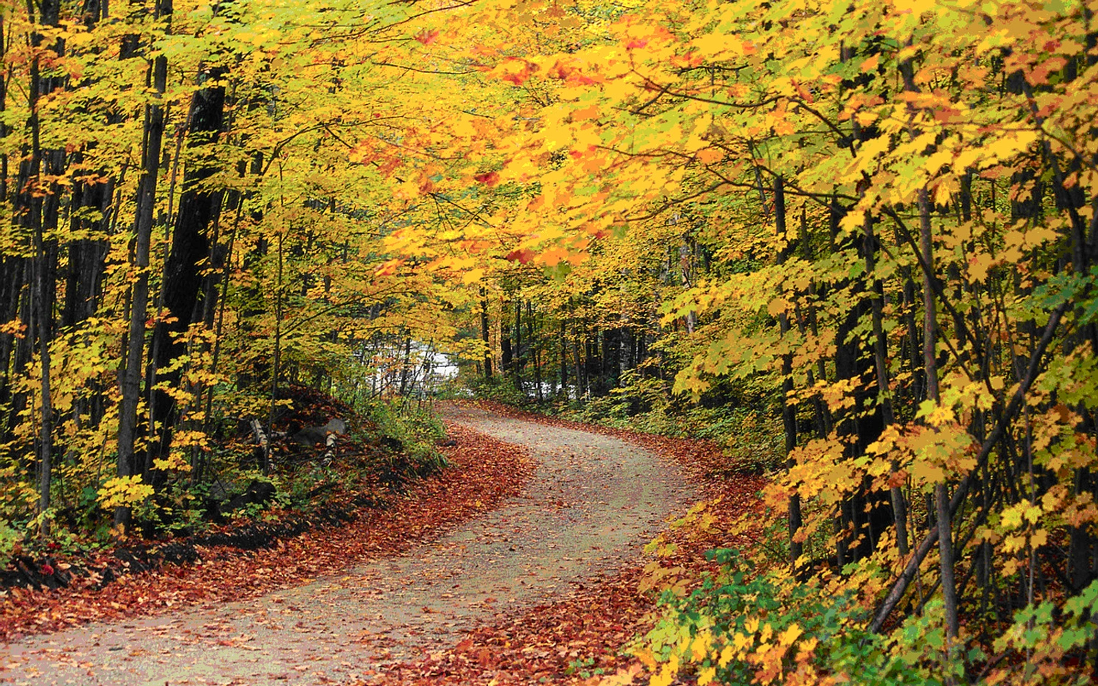 Wooded land in Windham County