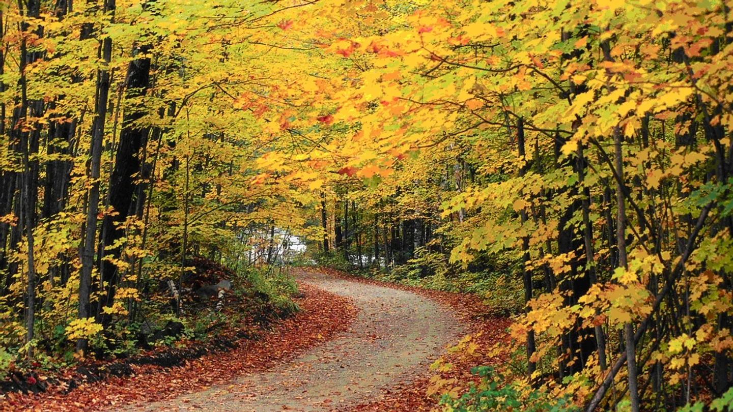 Franklin County vacant land, wooded acreage, and rural parcels in Vermont