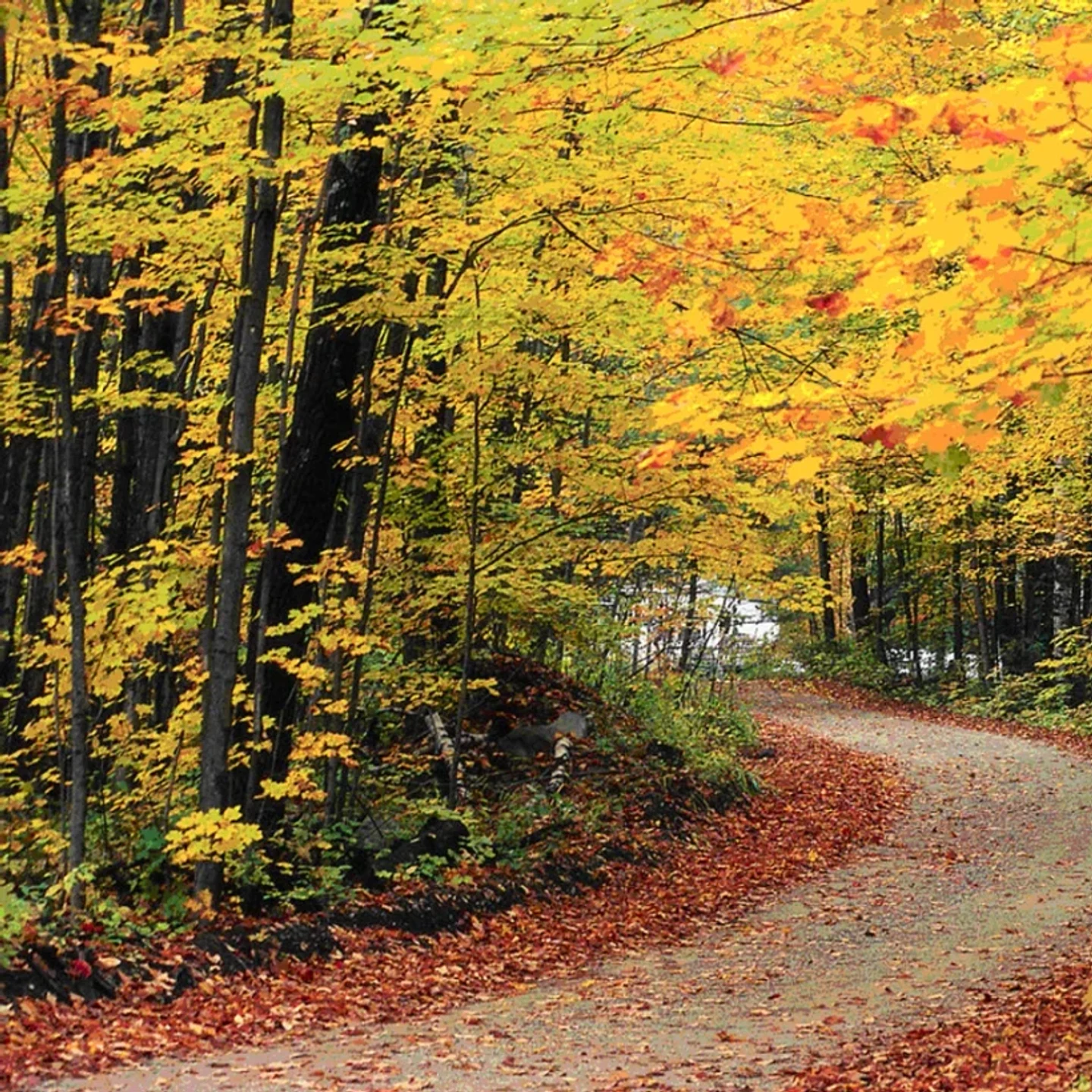 Hartford vacant land, wooded acreage, and rural parcels in Vermont